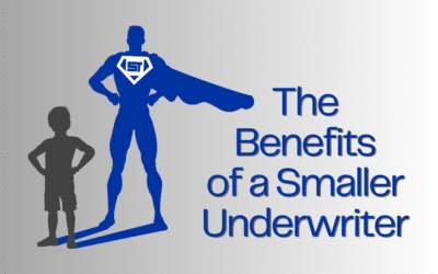 Choosing a Title Insurance Underwriter: The Advantages of Medium-Sized vs. Large